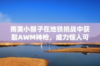 南美小猴子在地铁挑战中获取AWM神枪，威力惊人可一击七级头