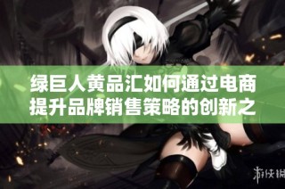 绿巨人黄品汇如何通过电商提升品牌销售策略的创新之路