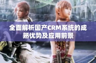 全面解析国产CRM系统的成熟优势及应用前景