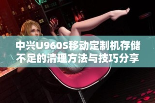 中兴U960S移动定制机存储不足的清理方法与技巧分享