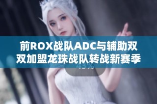 前ROX战队ADC与辅助双双加盟龙珠战队转战新赛季