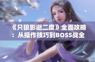 《只狼影逝二度》全面攻略：从操作技巧到BOSS战全解析