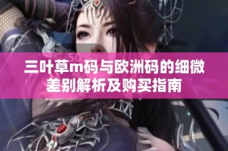 三叶草m码与欧洲码的细微差别解析及购买指南