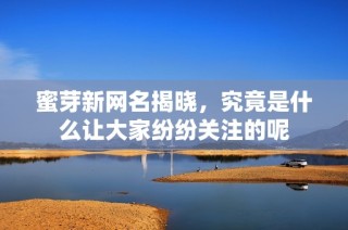 蜜芽新网名揭晓，究竟是什么让大家纷纷关注的呢