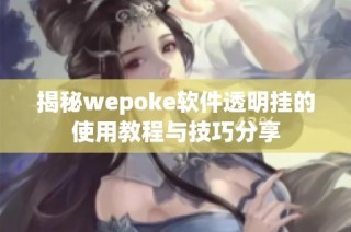 揭秘wepoke软件透明挂的使用教程与技巧分享