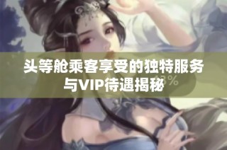 头等舱乘客享受的独特服务与VIP待遇揭秘