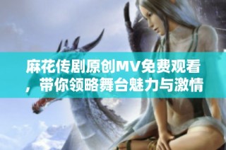 麻花传剧原创MV免费观看，带你领略舞台魅力与激情旋律