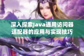 深入探索Java通用访问器适配器的应用与实现技巧