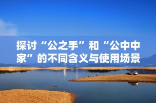 探讨“公之手”和“公中中家”的不同含义与使用场景