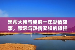 黑帮大佬与我的一年爱情故事，禁忌与热情交织的旅程