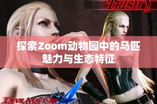 探索Zoom动物园中的马匹魅力与生态特征