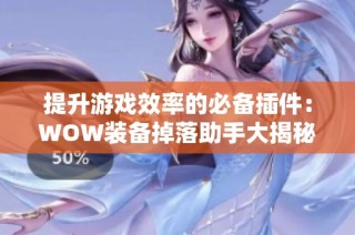 提升游戏效率的必备插件：WOW装备掉落助手大揭秘