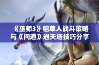 《巫师3》稻草人战斗策略与《问道》通天塔技巧分享