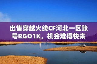 出售穿越火线CF河北一区账号RGO1K，机会难得快来抢购！