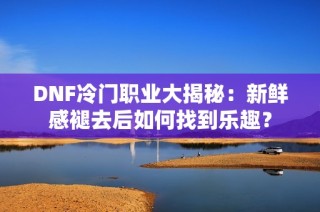 DNF冷门职业大揭秘：新鲜感褪去后如何找到乐趣？