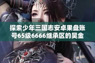 探索少年三国志安卓果盘账号65级6666继承区的昊金将攻略