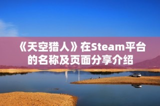 《天空猎人》在Steam平台的名称及页面分享介绍