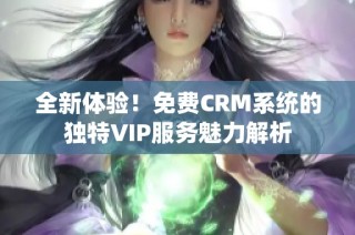 全新体验！免费CRM系统的独特VIP服务魅力解析