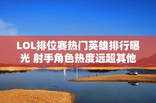 LOL排位赛热门英雄排行曝光 射手角色热度远超其他职业