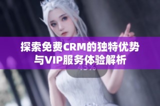 探索免费CRM的独特优势与VIP服务体验解析