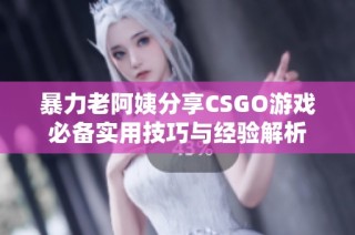 暴力老阿姨分享CSGO游戏必备实用技巧与经验解析