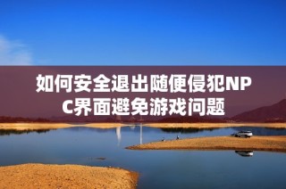 如何安全退出随便侵犯NPC界面避免游戏问题