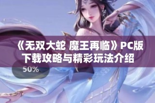 《无双大蛇 魔王再临》PC版下载攻略与精彩玩法介绍