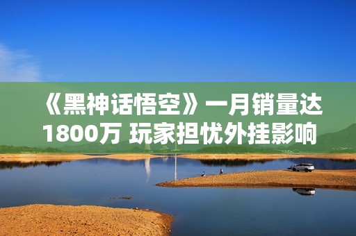 《黑神话悟空》一月销量达1800万 玩家担忧外挂影响游戏体验