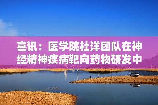 喜讯：医学院杜洋团队在神经精神疾病靶向药物研发中取得重要突破