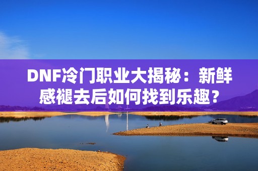 DNF冷门职业大揭秘：新鲜感褪去后如何找到乐趣？