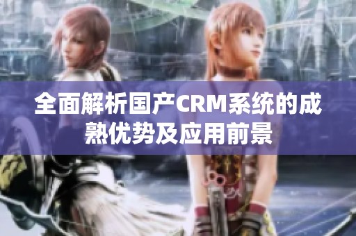 全面解析国产CRM系统的成熟优势及应用前景