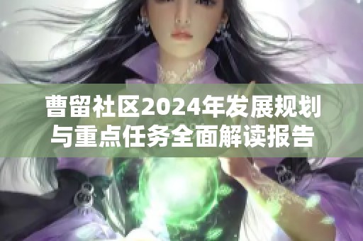 曹留社区2024年发展规划与重点任务全面解读报告