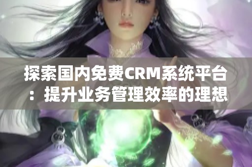 探索国内免费CRM系统平台：提升业务管理效率的理想选择