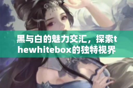 黑与白的魅力交汇，探索thewhitebox的独特视界