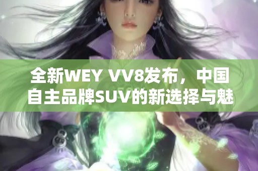 全新WEY VV8发布，中国自主品牌SUV的新选择与魅力分析