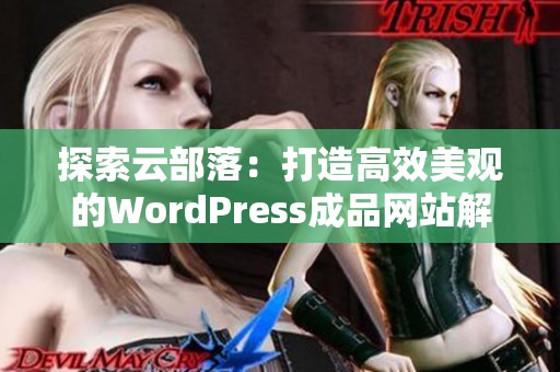 探索云部落：打造高效美观的WordPress成品网站解决方案