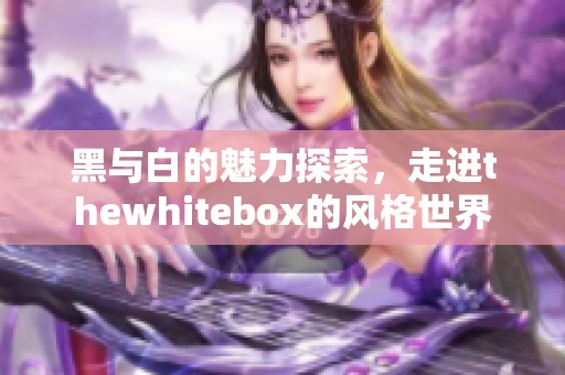 黑与白的魅力探索，走进thewhitebox的风格世界