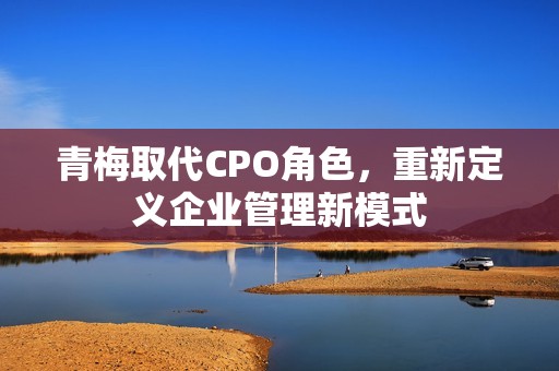 青梅取代CPO角色，重新定义企业管理新模式